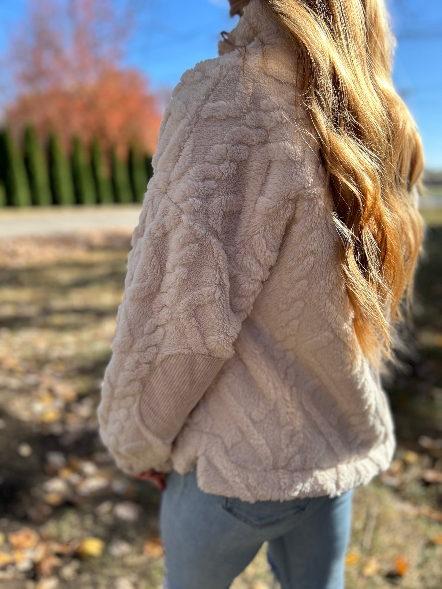 Cozy Plush Quarter Zip